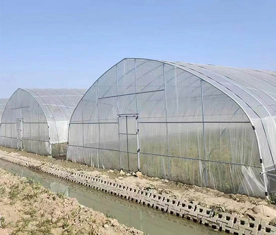 Agricultural Greenhouses