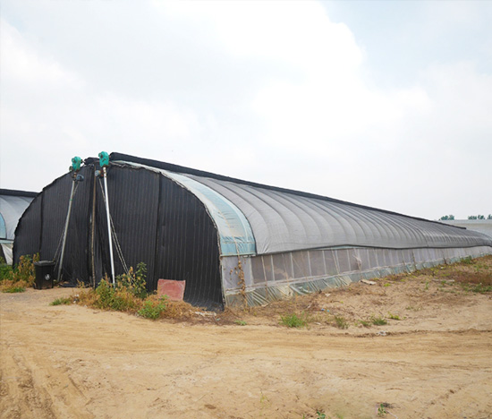 Agricultural Light Deprivation Greenhouse