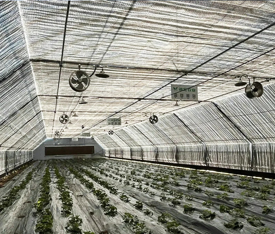 Agricultural Light Deprivation Greenhouse