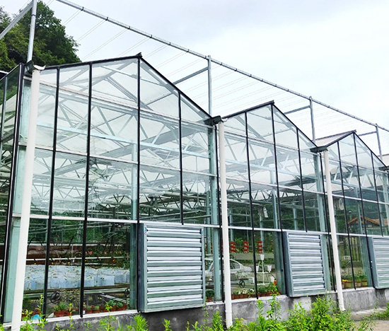 Garden Greenhouse