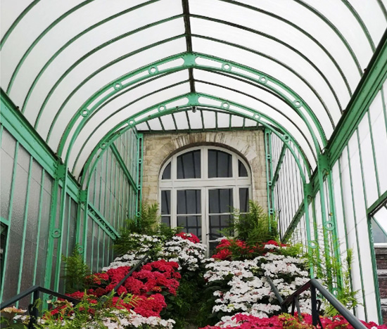 Garden Plant Greenhouse