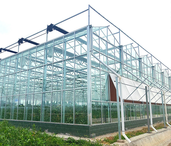 Garden Plant Greenhouse