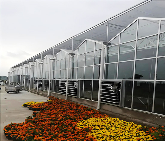 Glass Greenhouse