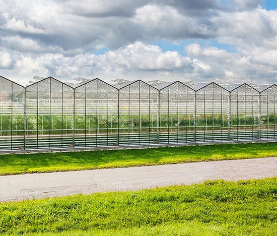 Glass Greenhouse