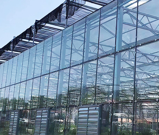 Glass Greenhouse