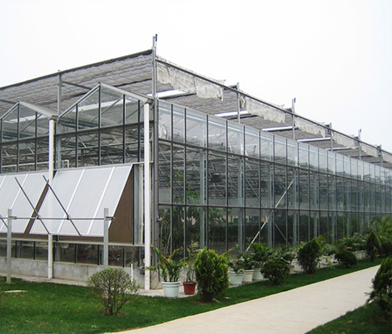 High Quality Venlo Style Greenhouse