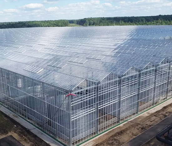 High Quality Venlo Style Greenhouse