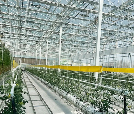 Hydroponic Growing Systems Greenhouse