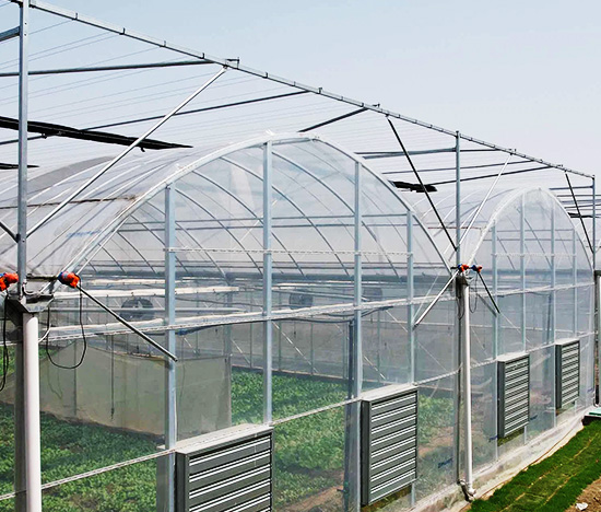 Multi-Span Smart Greenhouse for Vegetables and Fruits