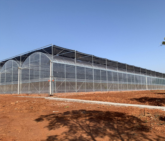 Multi-Span Greenhouse Manufacturers