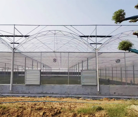 Multi-Span Greenhouse Manufacturers