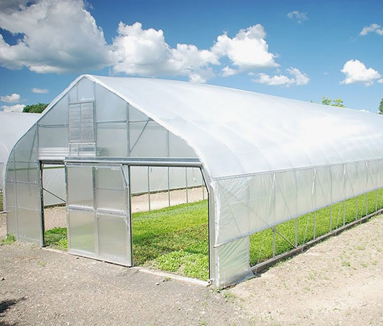 PO Film Greenhouse