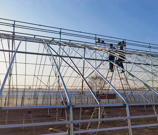 Plastic Film Hydroponic Greenhouse