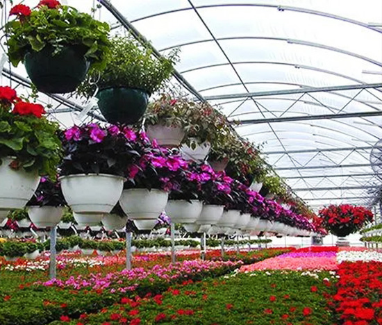 Quality Garden Greenhouse