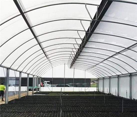 Serrated Multi-Span Greenhouse