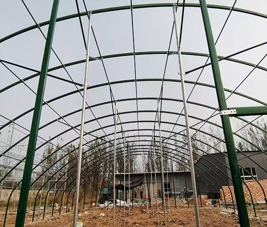 Single-Span Greenhouse