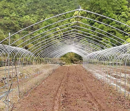 Single-Span Greenhouse