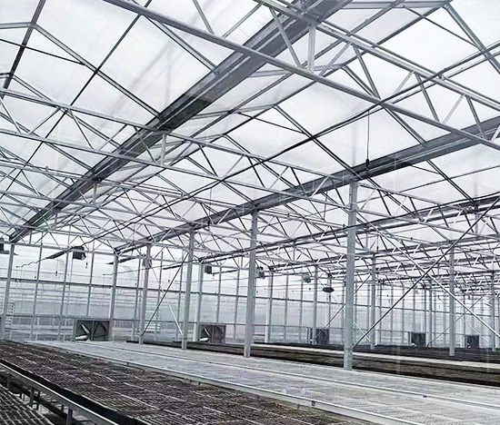 Smart Glass Greenhouse