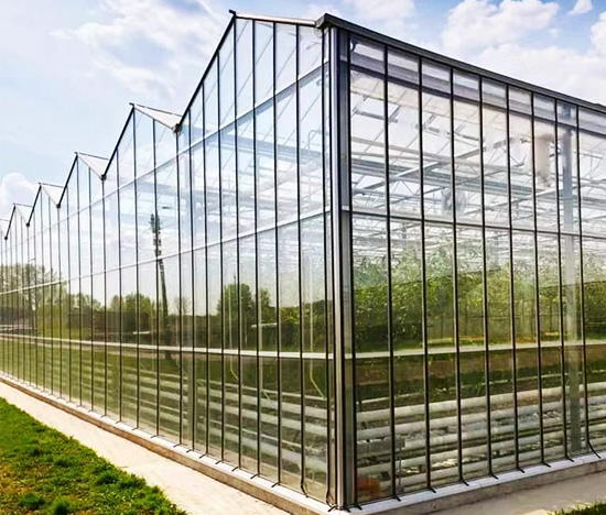 Smart Glass Greenhouse