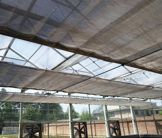 Sun-Shade Net System