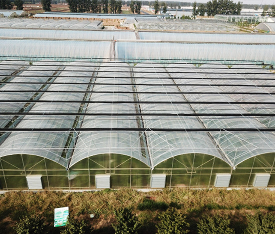 Tunnel Film Greenhouse