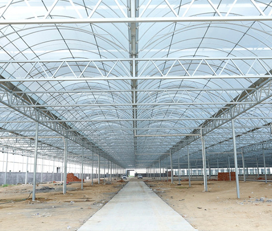 Tunnel Greenhouse for Vegetable