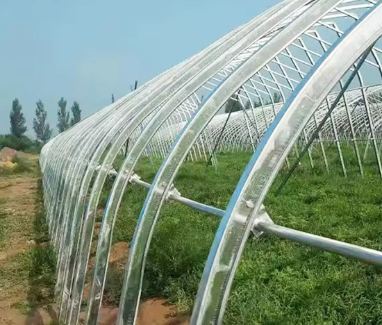 Tunnel Greenhouse Manufacturer