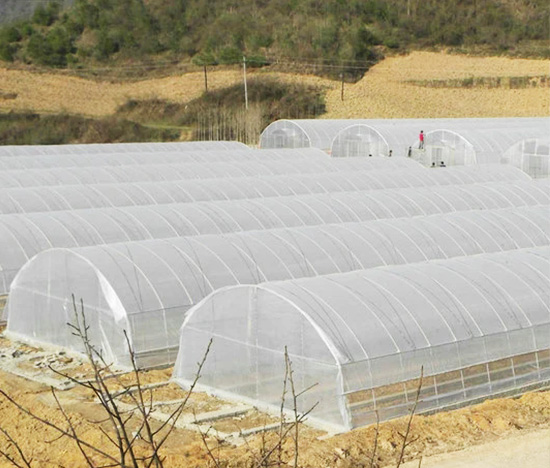 Tunnel Greenhouse Manufacturer