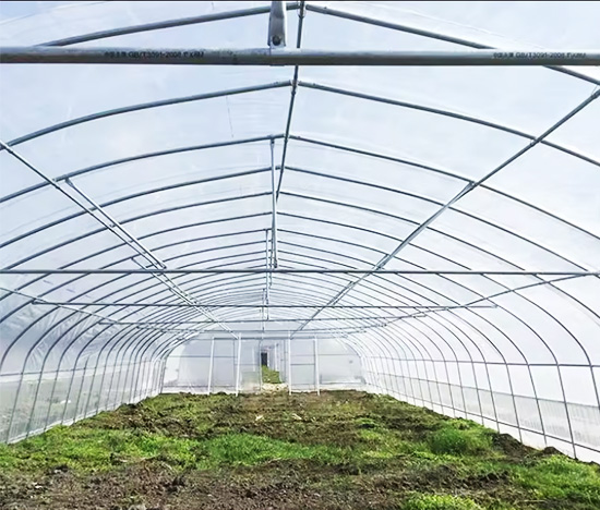 Tunnel Greenhouse Manufacturer