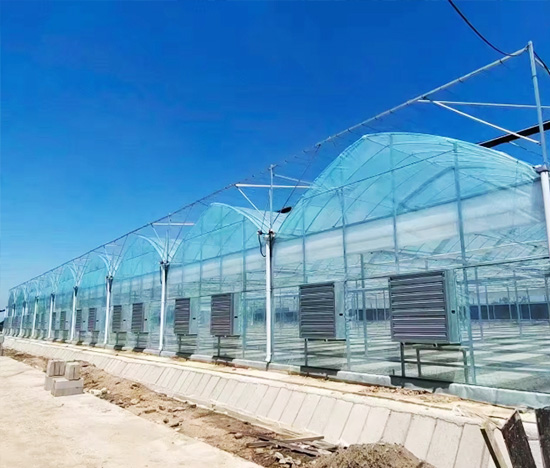 Vegetable and Fruit Greenhouse