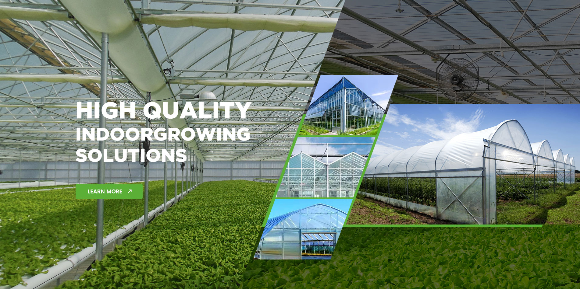 Doran Greenhouse | Vegetable Greenhouse | Tunnel greenhouse | Hydroponic greenhouse