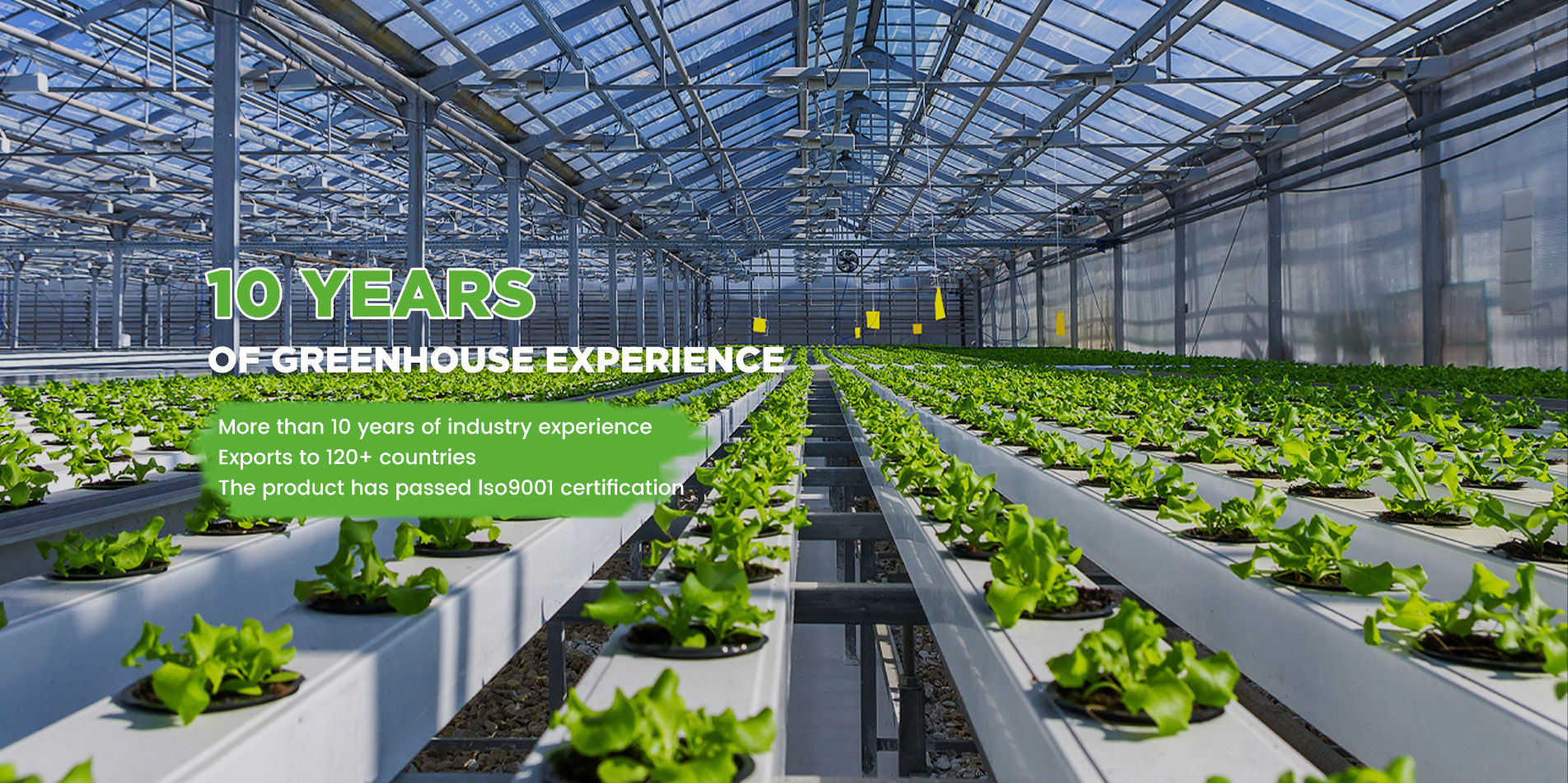 Doran Greenhouse | Vegetable Greenhouse | Tunnel greenhouse | Hydroponic greenhouse