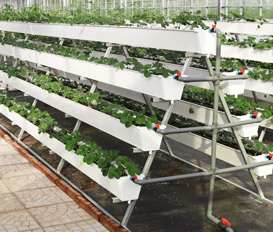 Hydroponic System